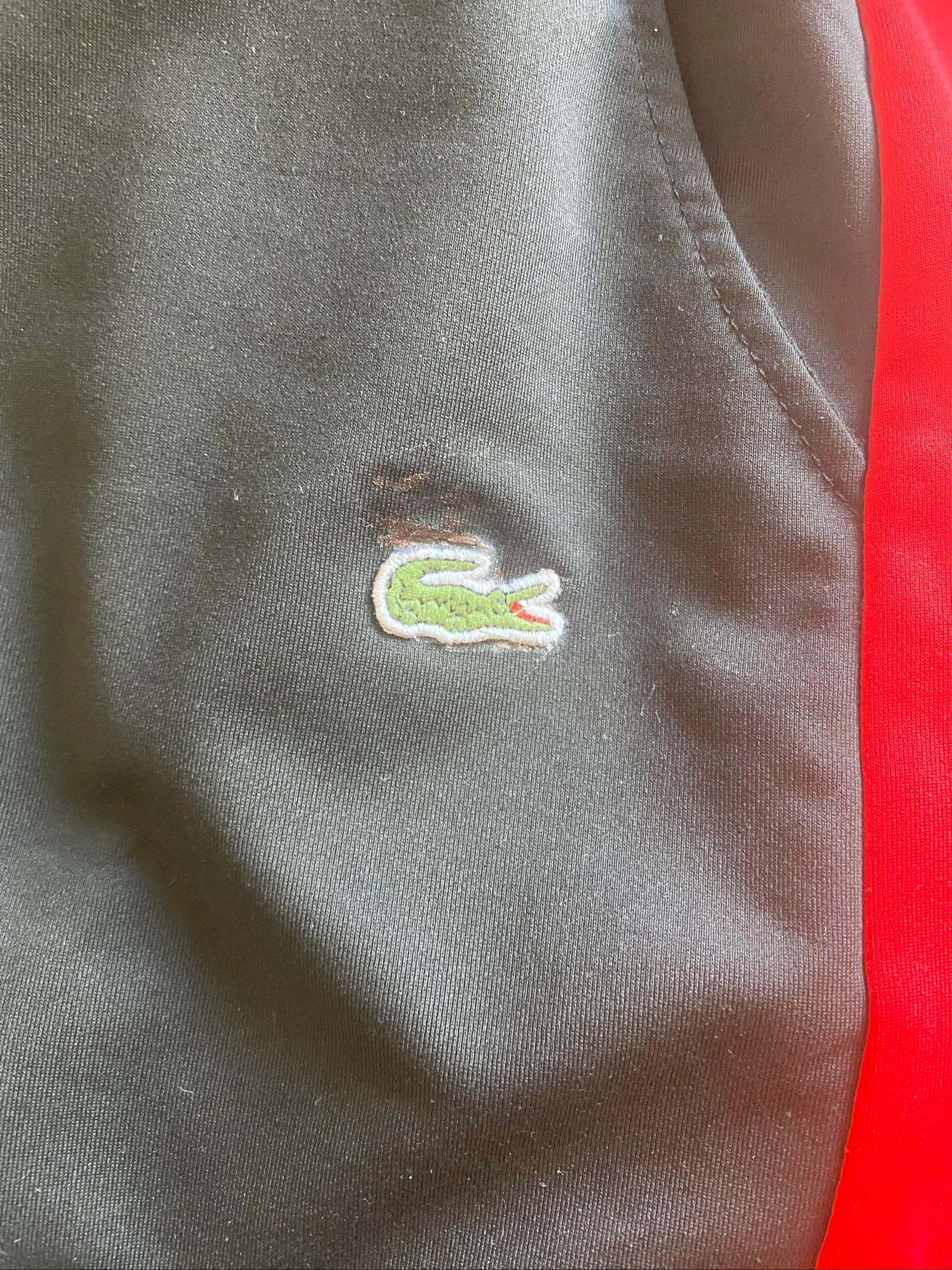Conjunto Lacoste  – photo 2